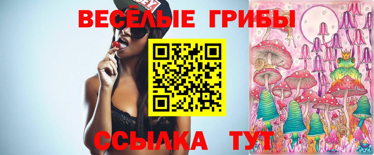 Псилоцибиновые грибы Cubensis  Псилоцибиновые грибы GOLDEN TEACHER  Вход с VPN  Дубна 